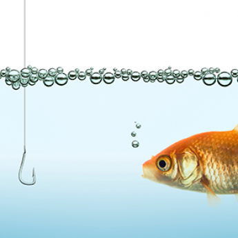 (3.7.22) Blog Image - Fish (Green)
