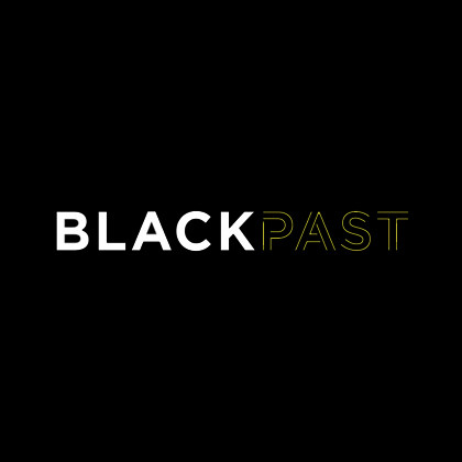 Pro Bono Spotlight: BlackPast.org