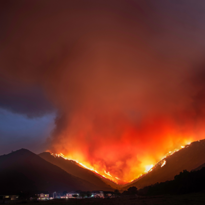 Pro Bono Spotlight: United Policyholders