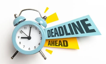 IRS Form 15620 (83(b) Election)