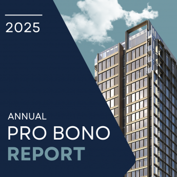 Pro Bono Report- Callout Image